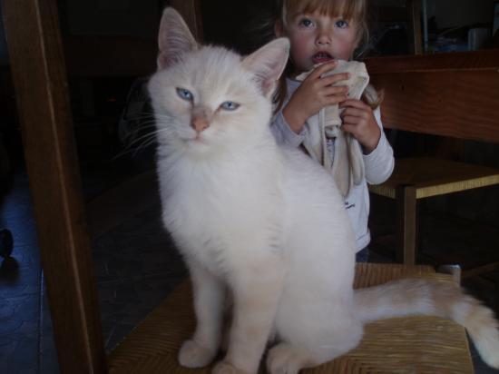 Calin