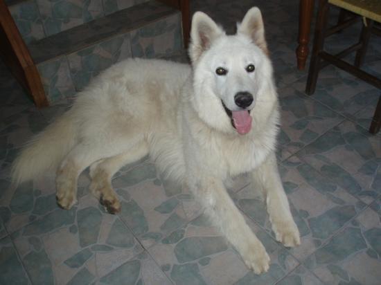 Sam