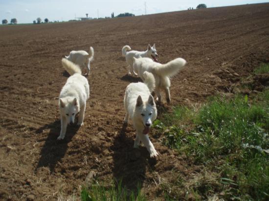 BBS à la campagne