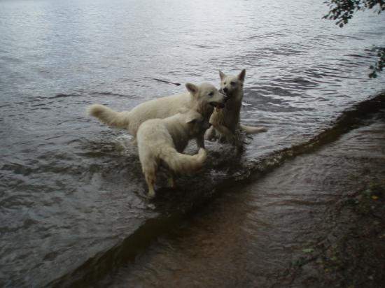 Les bbs au Lac des Settons