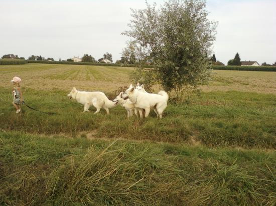 Promenade à la campagne