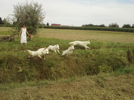 Promenade à la campagne