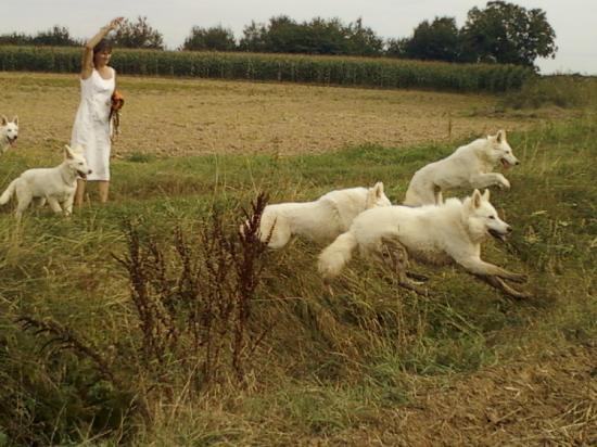 Promenade à la campagne