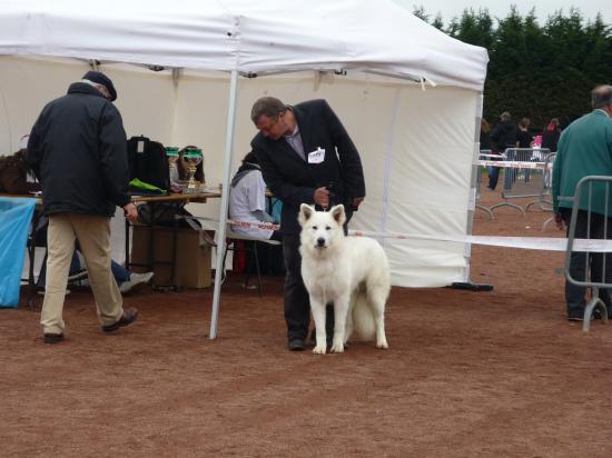 Concour Semur en Auxois